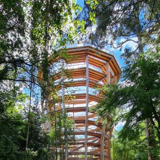 Treetopwalkviewingtower avondale wicklow www.arklowbay.com_v4